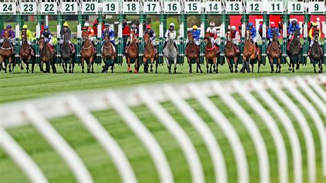 expert tips for melbourne cup 2022|Melbourne Cup 2022 form guide, horses, tips, odds, field, .